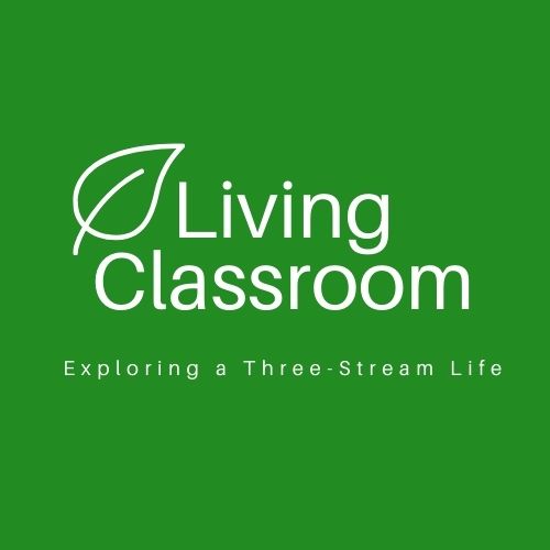 Living Classroom 2021 logo
